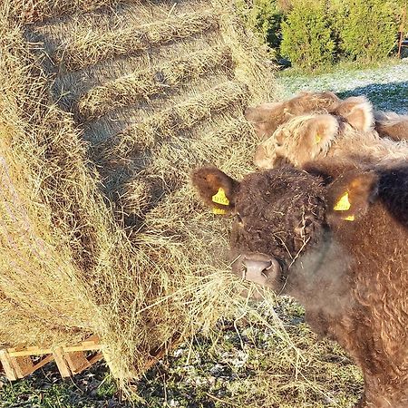 Ferienwohnung Auf Dem Land Dittersbach Екстериор снимка