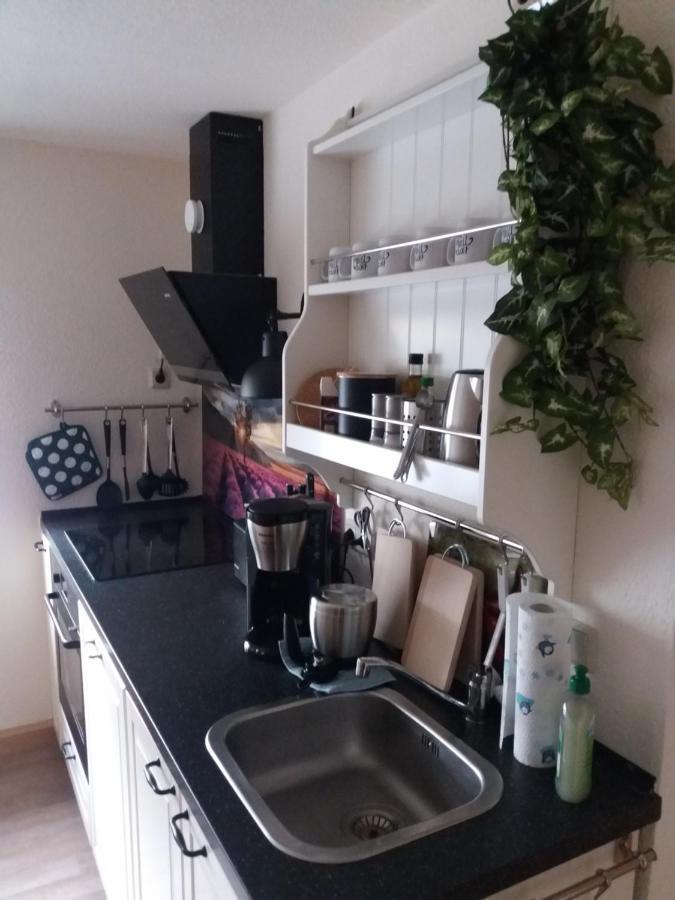 Ferienwohnung Auf Dem Land Dittersbach Екстериор снимка